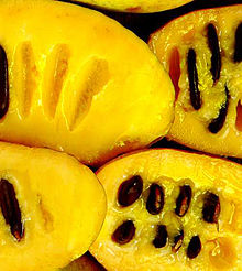 220px-Pawpaw-fruit