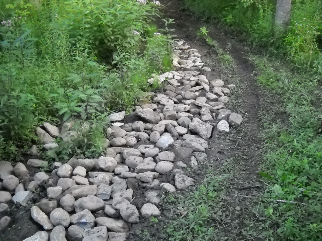DSCN0802